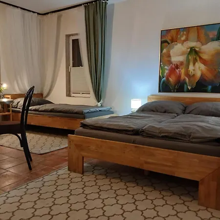 Blue Δωμάτια σε οικογενειακή κατοικία Jachymov